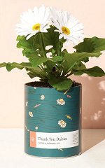 Waxed Planter - Thank You Daisies<br>Modern Sprout